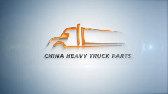 Sinotruk C7h/T7h/T5g China Heavy Truck Sitrak Chassis Axle Parts Wg4007410069 O-ring em forma de caminhão Peças de caminhão